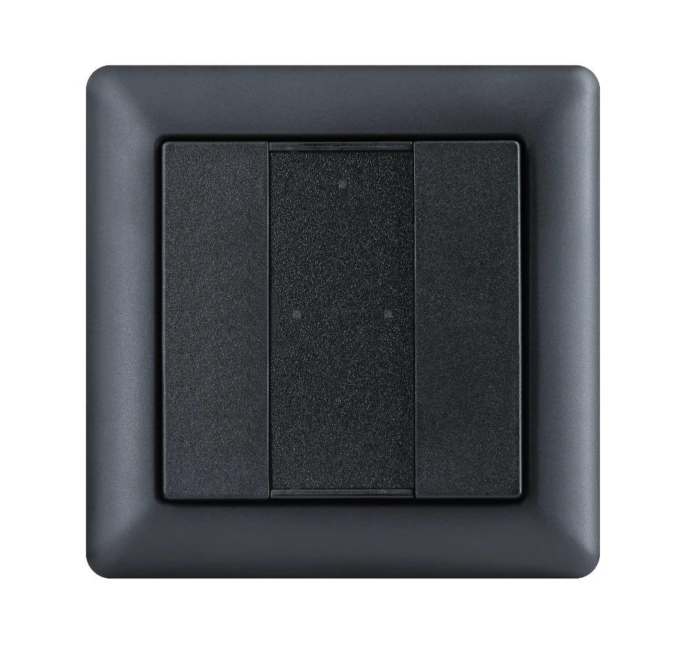 Model A DALI-2 Switch - 2 Buton Siyah Plastik